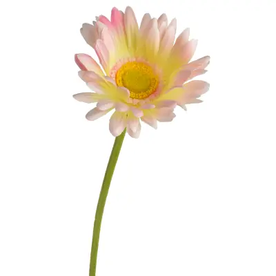 umetna cvetlica Viridis Gerbera 67cm 1kos
