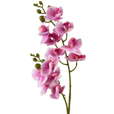 umetna roža plastika Viridis Storczyk 65cm 1kos