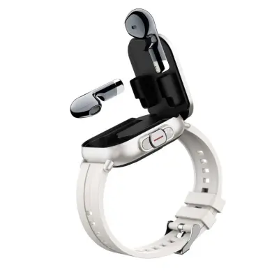 2-v-1 TWS pametna ura z 2.01 inch TFT, Bluetooth 5.3 in magnetni etui Silver