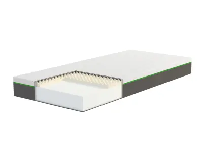 Ležišče DORMEO ERGONOMIC MEMORY MATTRESS 140X200