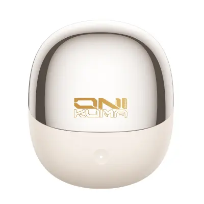 TWS brezžične slušalke z ANC in dvojni način 2.4G+BT5.4 Gold