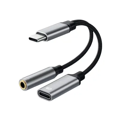 Type-C 2-v-1 adapter: 10 W, pleten najlon, bakrena žica, srebrn
