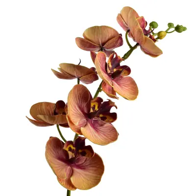 cvet umetni Viridis Storczyk 85cm bela 1 kos