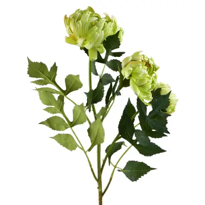 Umetna veja plastika Viridis Chryzantema 70cm zelena 3kos