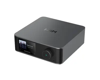 WiiM Ultra – vrhunski Hi-Fi streamer in DAC z zaslonom - space gray