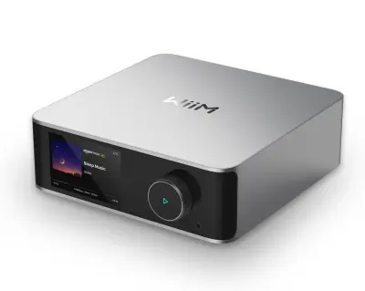 WiiM Ultra – vrhunski Hi-Fi streamer in DAC z zaslonom - silver