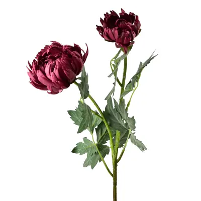 Umetna veja krizanteme plastika Mondex Viridis 69cm zelena 2kos