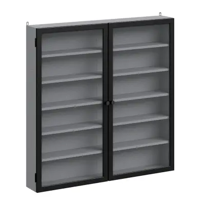 Stenska omara z steklenimi vrati Siva 80x12,2x80 cm FSB113-H-DG