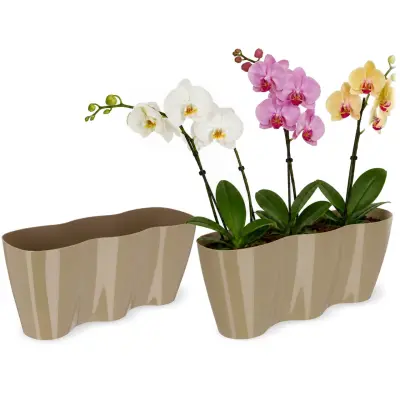 cvetlični lonec, cvetlični lonec, plastični cvetlični lonec, orhideja, 35 cm, bež
