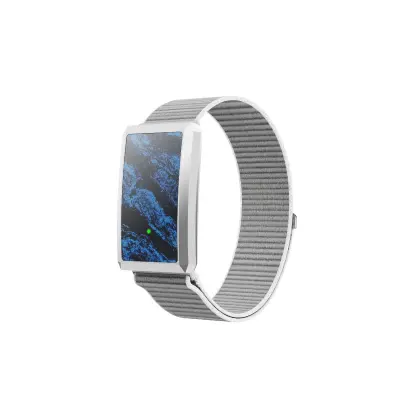 Brezzaslonska pametna zapestnica z ECG, HRV, IP68 in 15–20 dni Grey