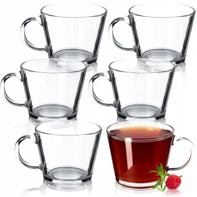 Kozarci za čaj, kavo in druge pijače z ročaji, komplet 6 kozarcev, 380 ml