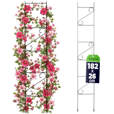 Vrtna pergola, opora za rože, kovinska za rože, vrtnice, 180 cm, lestev