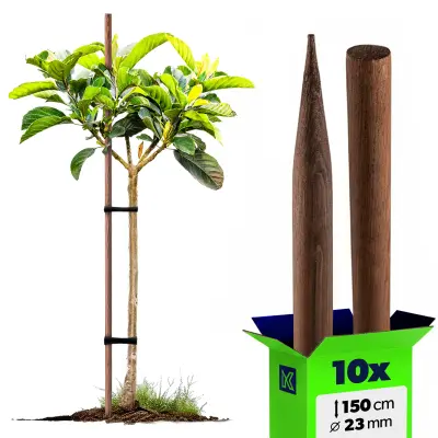 leseni koli, impregnirani koli, 150 cm, podporne palice, 10 kosov, premer 23 mm