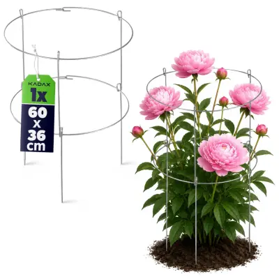 Objemka za podporno rastlino za hortenzijo, monstero, roza, jeklo, 60 cm