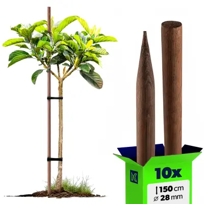 Leseni koli, nabrušeni, impregnirani koli, 150 cm, podporna palica Fi 28 mm, 10x