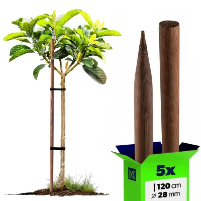 leseni koli, naostreni, impregnirani koli 120 cm, podporna palica Fi 28 mm, 5 kosov