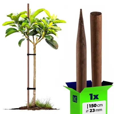 Impregniran lesen kol za podporo dreves 150 cm premera 23 mm