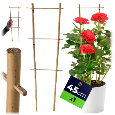 Bambusova lestev za oporo rastlin 45 cm za rože, dvojna opora