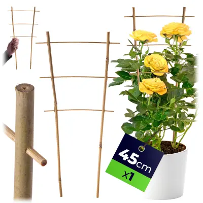Bambusova lestev za oporo rastlin 45 cm za rože, dvojna opora