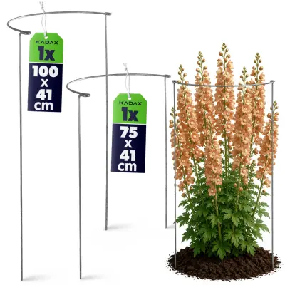 Podpora za rastline vrtnic Komplet kovinskih objemk za rože 75+100 cm