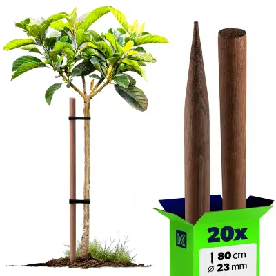 leseni koli, impregnirani koli, 80 cm, podporne palice, 20 kosov, Fi 23 mm