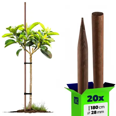 Leseni koli, nabrušeni, impregnirani koli 180 cm, podporna palica Fi 28 mm 20x