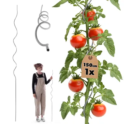 spiralna palica za paradižnik, fižol, kumare, trto, opora 150 cm