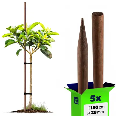 leseni koli, nabrušeni, impregnirani koli, 180 cm, podporna palica Fi 28 mm, 5 kosov