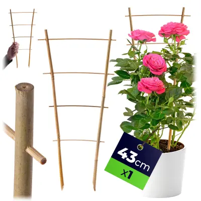 Bambusova lestev za oporo rastlin 43 cm za rože, dvojna opora