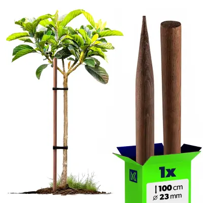 Impregniran lesen kol za podporo dreves 100 cm premera 23 mm