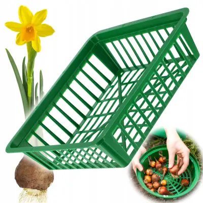 košara za čebulice, cvetlične čebulice, tulipane, pokrovčke za sajenje, 28 cm