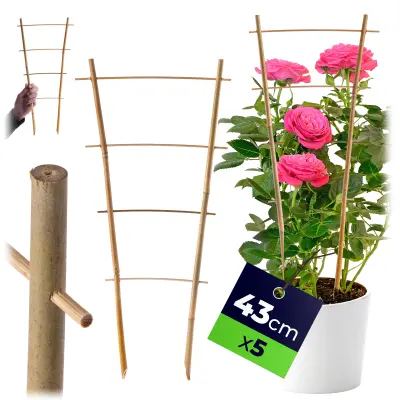 5x bambusova opora za lestev za rože, rastline 43 cm, zelenjavo, vzpenjavke, dvojna