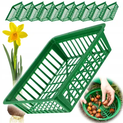 košara za sajenje čebulic tulipanov, 28 cm, 10 kosov
