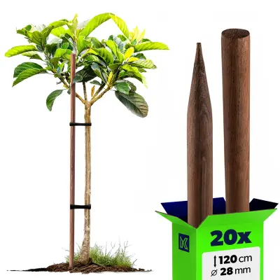 Leseni koli, nabrušeni, impregnirani koli 120 cm, podporna palica Fi 28 mm 20x