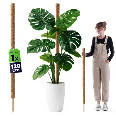 Podpora za cvetlične rastline 120 cm kokosov kol 4,5 cm drog za monstero