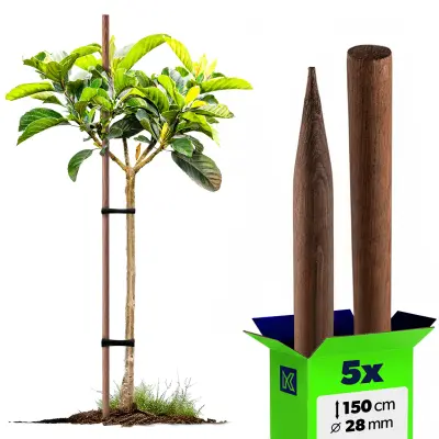 leseni koli, naostreni, impregnirani koli, 150 cm, podporna palica Fi 28 mm, 5 kosov