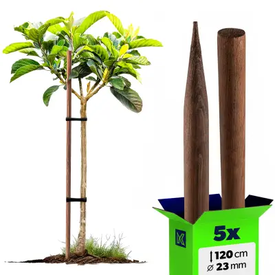 leseni koli, impregnirani koli, 120 cm, podporne palice, 5 kosov, premer 23 mm