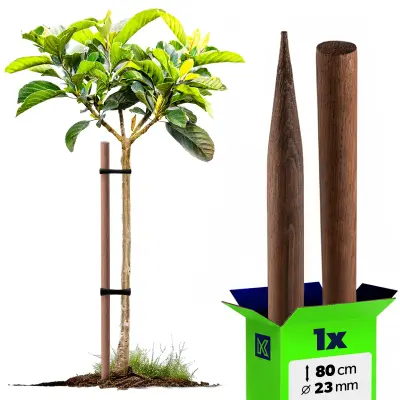Impregniran lesen kol 80 cm, oporna palica za drevesa, premer 23 mm