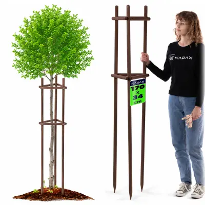 opora za rastline, drevesa, grmičevje, impregnirana opora, trikotna, močna, 170 cm