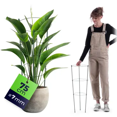 Obročna opora za rastline in rože 75 cm Kovinski podporni obroči