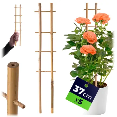 5x bambusova opora za lestev za rože, rastline 37 cm, zelenjavo, vzpenjavke, dvojna
