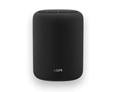 WiiM Sound Lite – pametni brezžični zvočnik z vrhunskim Hi-Fi zvokom - črn