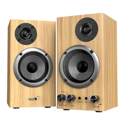 SP-HF520BT (31730056404) Bluetooth zvočnik les 20W AUX/BT 5.3