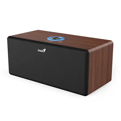 SP-HF505BT (31730056404) Bluetooth zvočnik 20W temen les