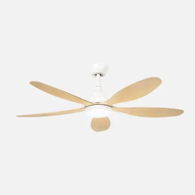 Stropni ventilator Fabrilamp Tobarra z LED osvetlitvijo