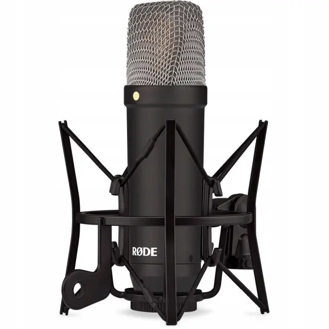 Studio mikrofon Røde NT1 Signature AI-1 kompletni set | Big Bang ...