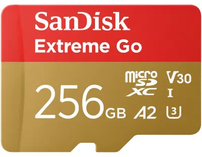 Micro SD kartica SanDisk Extreme Go 256 Go