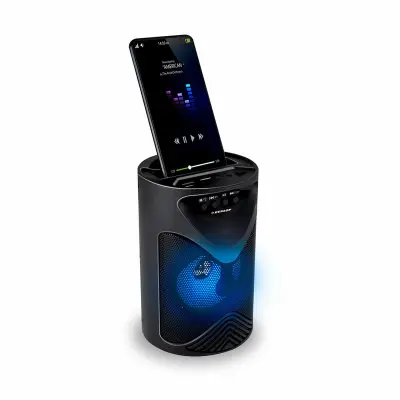 Bluetooth zvočnik Dunlop d625 15W črn
