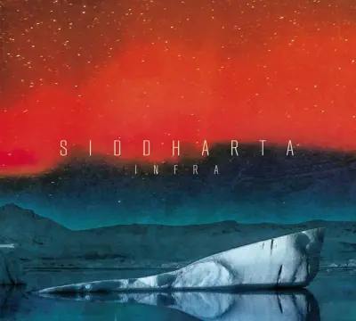 SIDDHARTA - INFRA