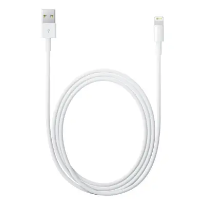 APPLE LIGHTNING TO USB CABLE (2M)